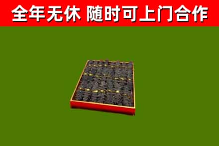 维西回收海参